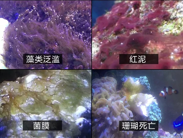 一篇文章带你初步了解,一篇文章弄懂hashmap底层