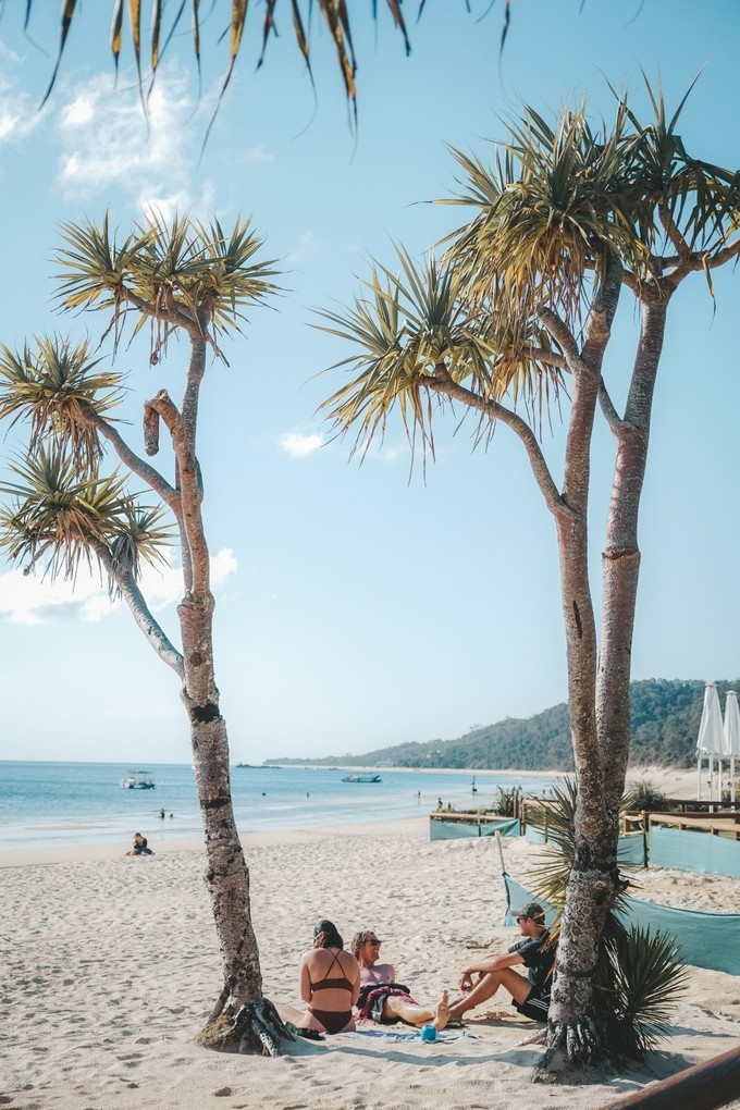 澳洲观鲸攻略,澳洲观鲸之旅