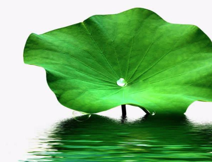 自己制作荷叶茶能减肥吗,山楂荷叶茶怎么喝能减肥