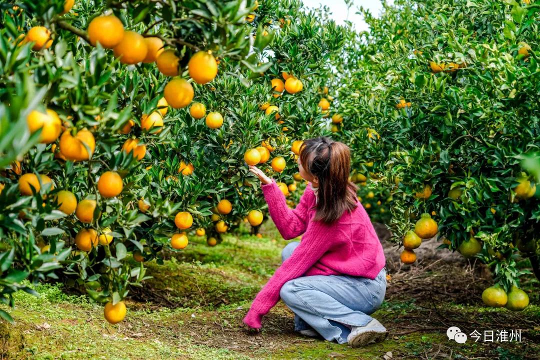 淮口景区,淮口附近旅游景区推荐一下