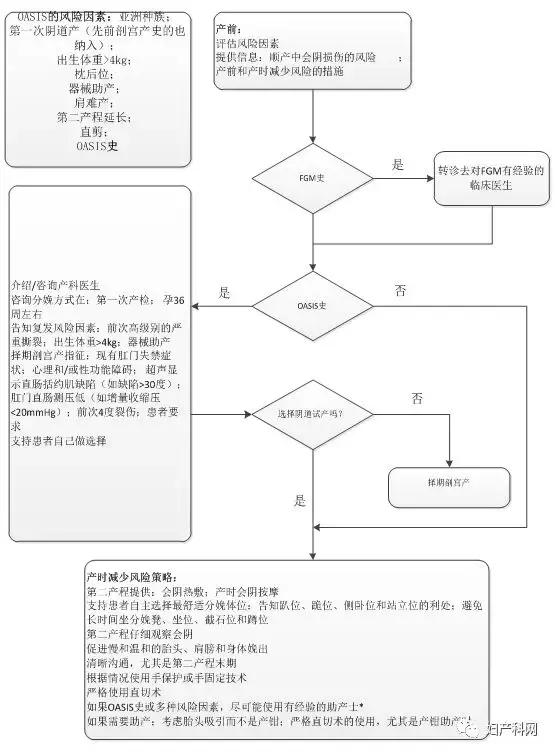 指南速递｜昆士兰指南：会阴护理（上）
