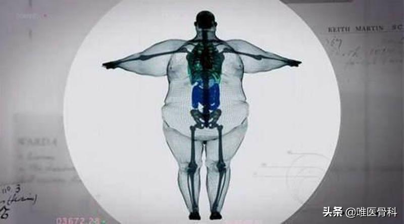 长腿秘诀大全图解,原来大长腿是这样炼成的