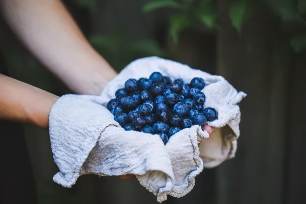 赚钱的低门槛创业项目生意,冷门行业又可以赚钱的创业项目