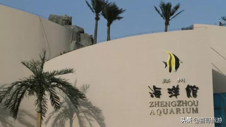 郑州银基动物王国一日游,冬季郑州周边一日游推荐