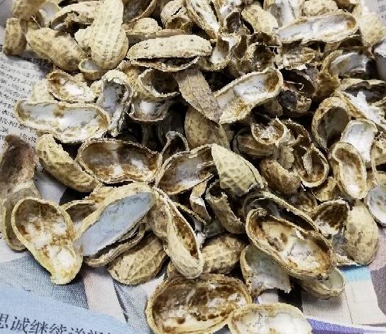 花根不透气了会怎样,花根不透气怎么办