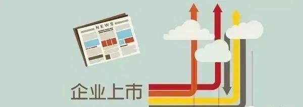 青岛上市公司一览表最新,资本力量龙头企业