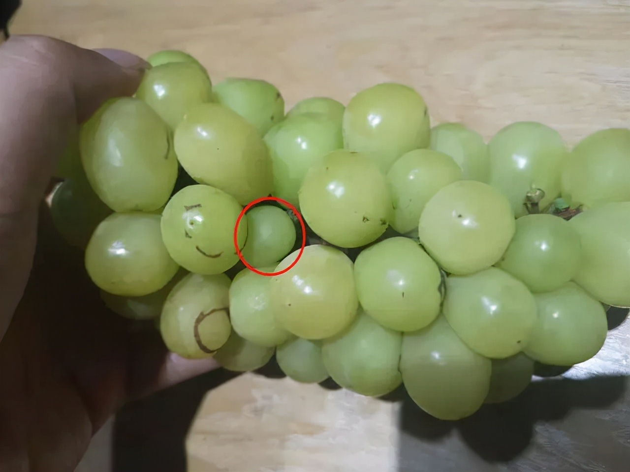 阳光玫瑰葡萄和晴王价格一样吗,日本晴王葡萄和阳光玫瑰的区别