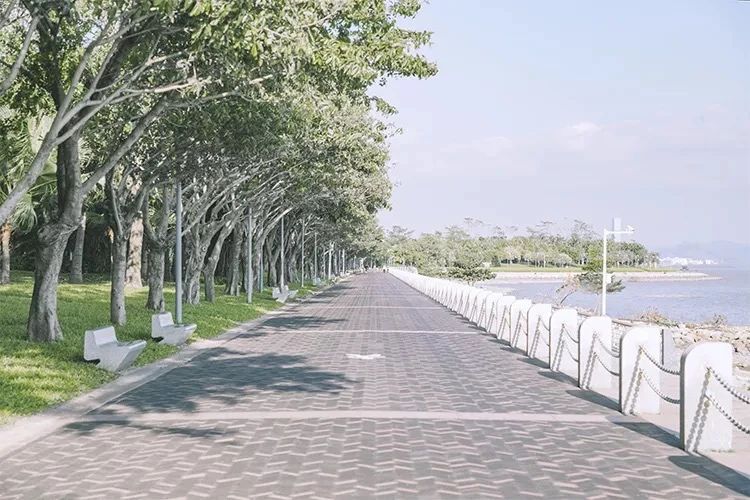 2021深圳免费适合遛娃玩地方排名,深圳免费游玩景点推荐