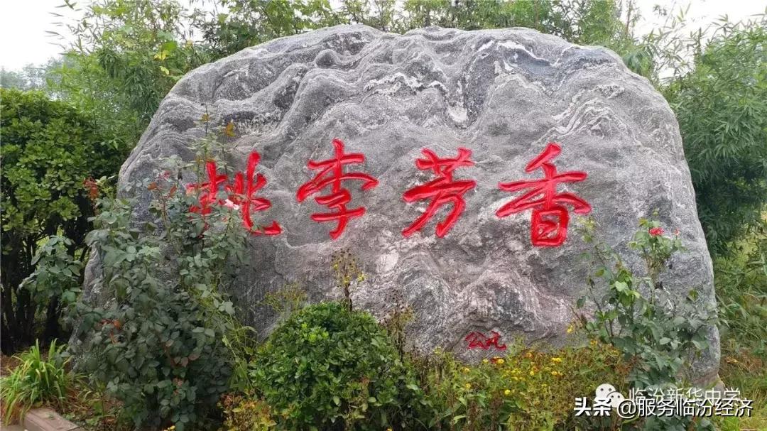 临汾新华中学初中部本科达线率,临汾新华高考喜报