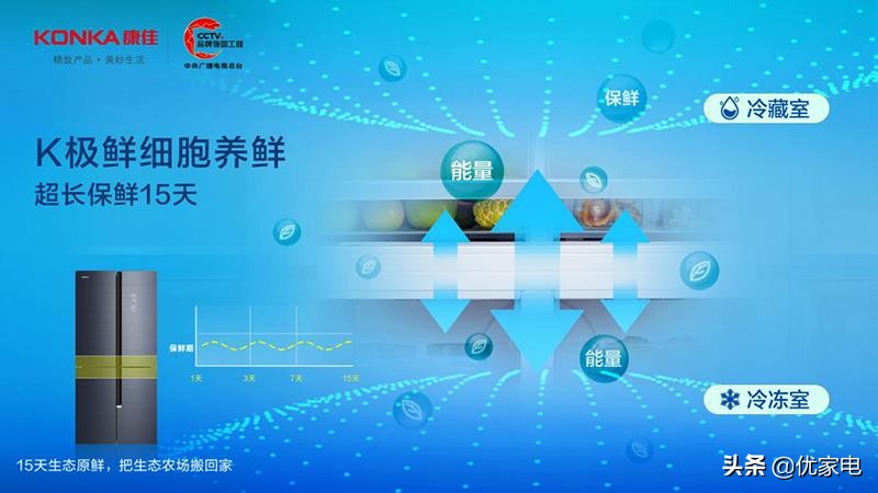 三获一等功臣,康佳冠军