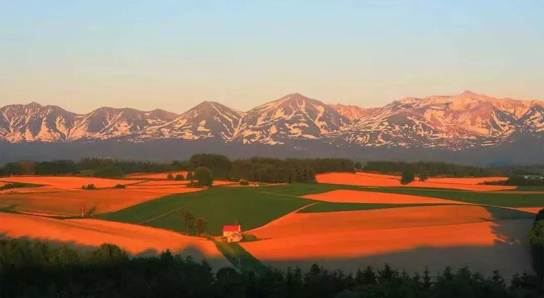 日本旅游吃饭攻略,日本游美食必购清单