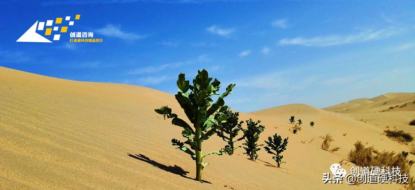 sic第三代半导体材料,第三代半导体sic产业链分布图