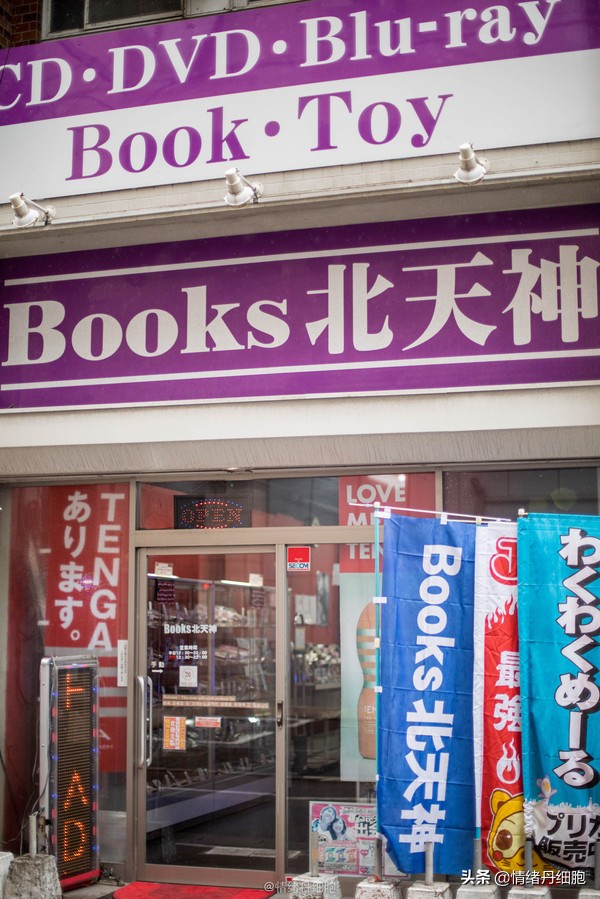 邮轮游选择哪个游轮好,邮轮旅游全攻略公主号