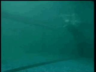 爬泳转身技术,爬泳中后交叉教学