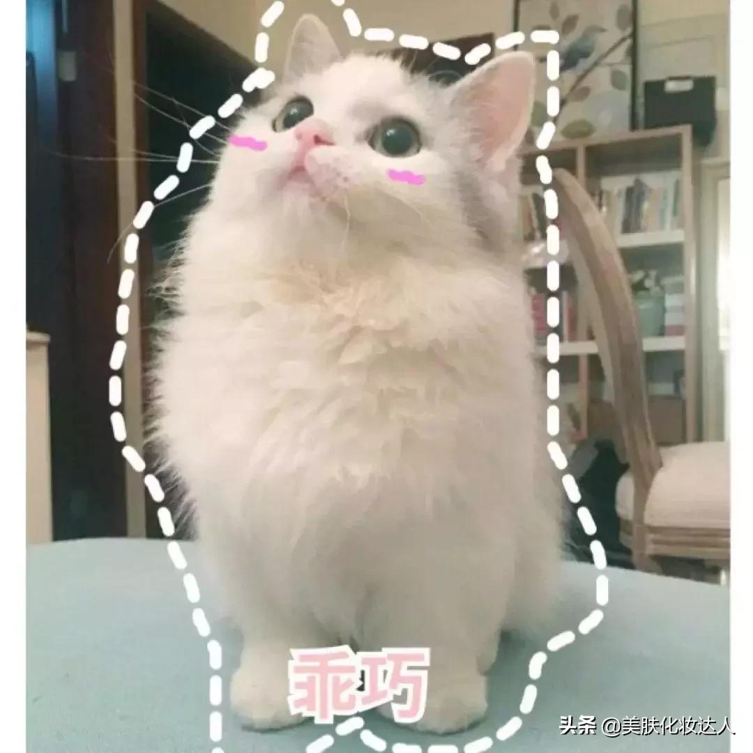 开架彩妆平价,日本开价彩妆推荐