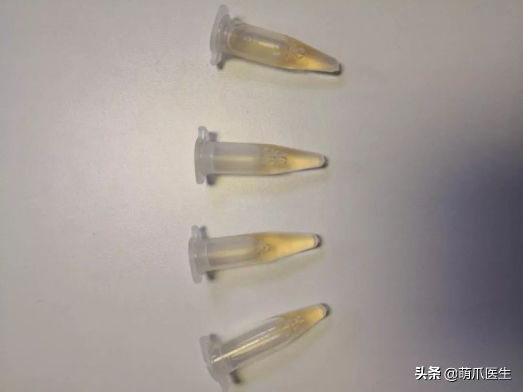 黑心宠物粮涉事企业有哪些,黑心宠物粮涉事企业