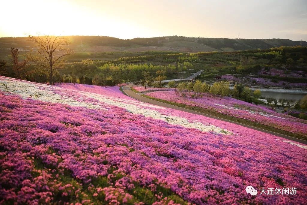 英歌石植物园怎么去,英歌石植物园公交线路