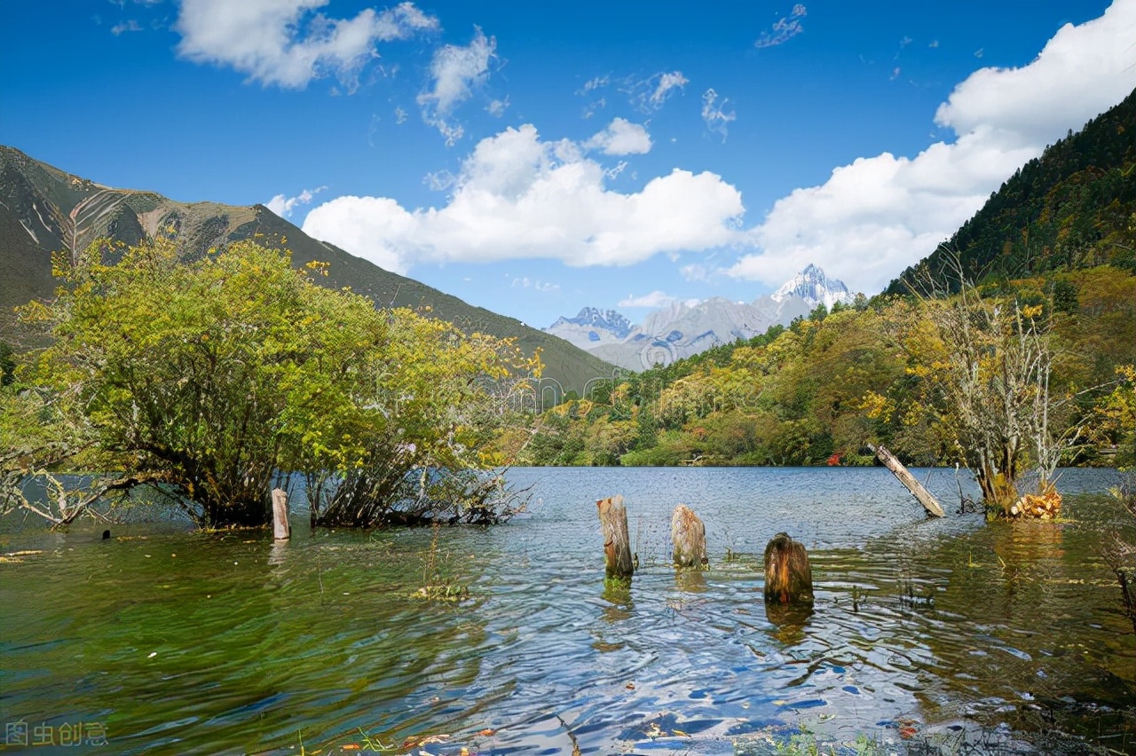 广东景区教师节免票,山叶口景区教师节免票吗