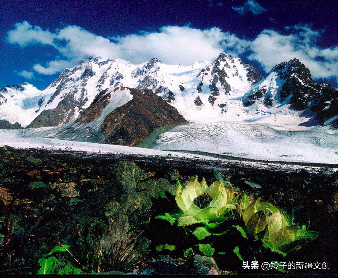 新疆博格达,博格达峰守护