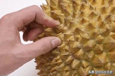 学会这2种方法让你学得更好,如何辨别好吃又多肉的榴莲