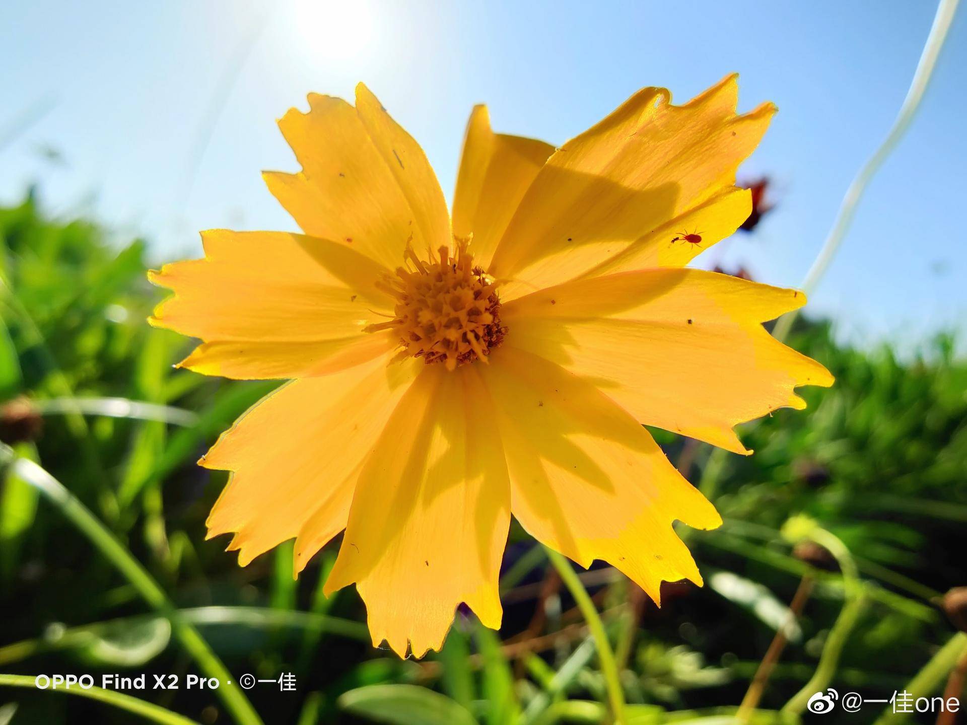 拍照手机超广角,超广角角度拍照手机