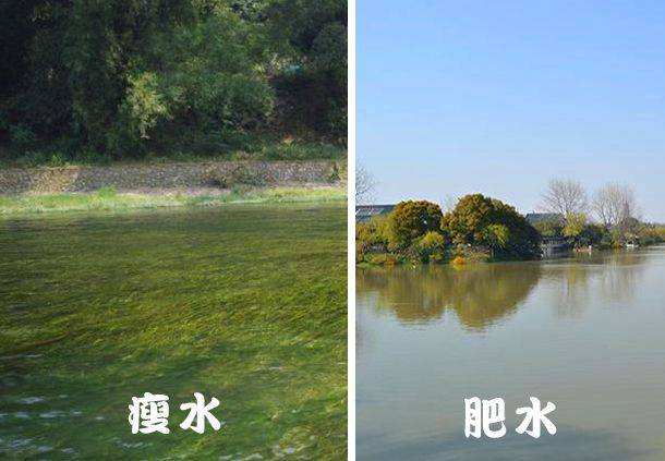 冬季野钓鲫鱼打窝好还是不打窝好,野钓打窝怎样打