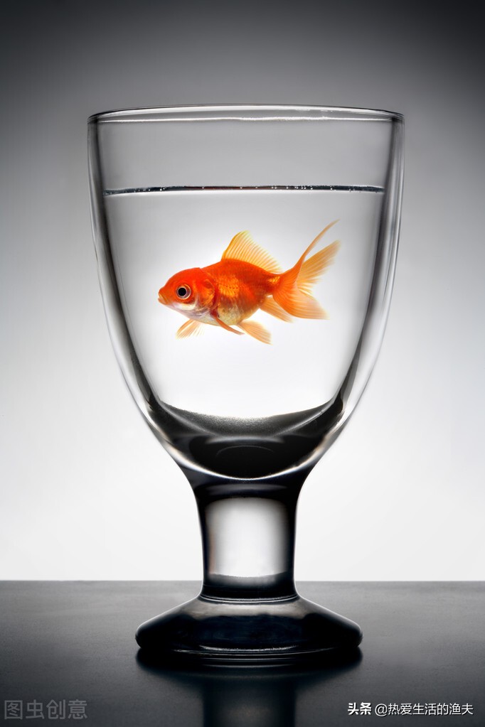 鱼缸水浑浊用什么过滤最好,鱼缸底滤水浑浊怎么变清过滤器材