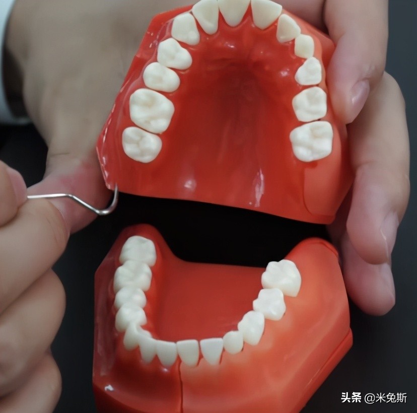 大家牙齿发育的怎么样,大家牙齿都长什么样