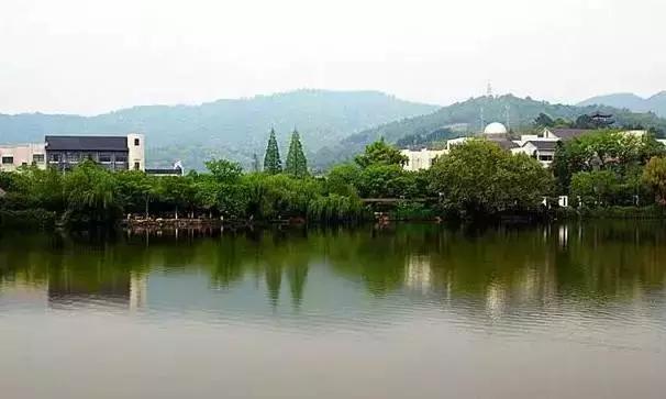 宁波踏青免费好去处,宁波踏青赏花最佳地