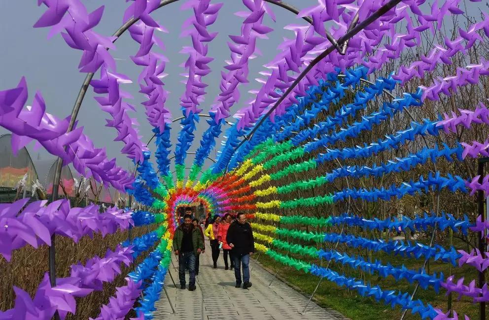 几十块钱玩一天,几十块钱玩一天天津