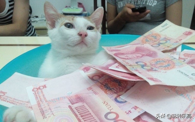 为什么很多大人喜欢乐高,乐高省钱攻略