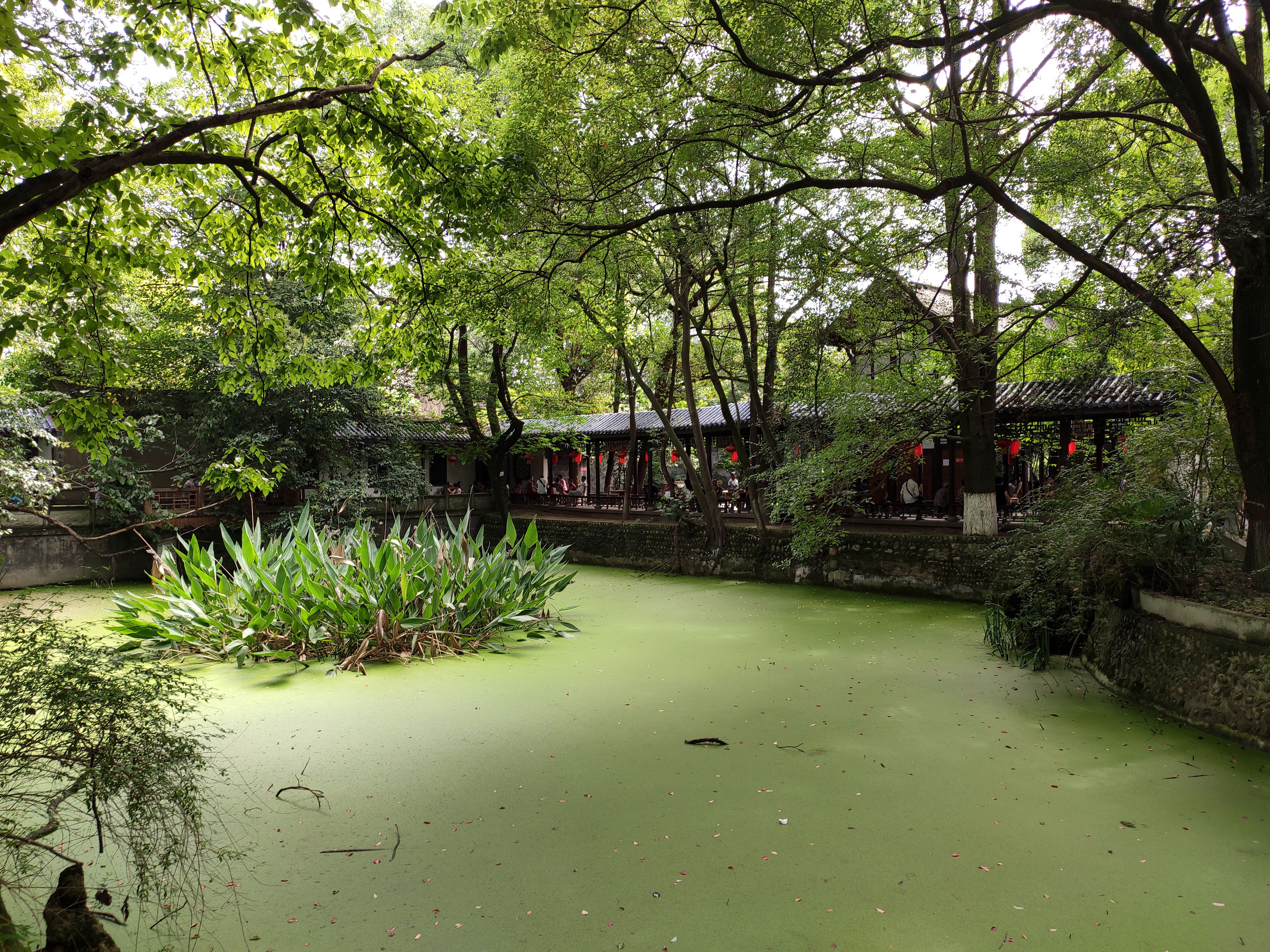 被遗忘的成都郊县老城镇,追寻城市记忆感受城市变迁