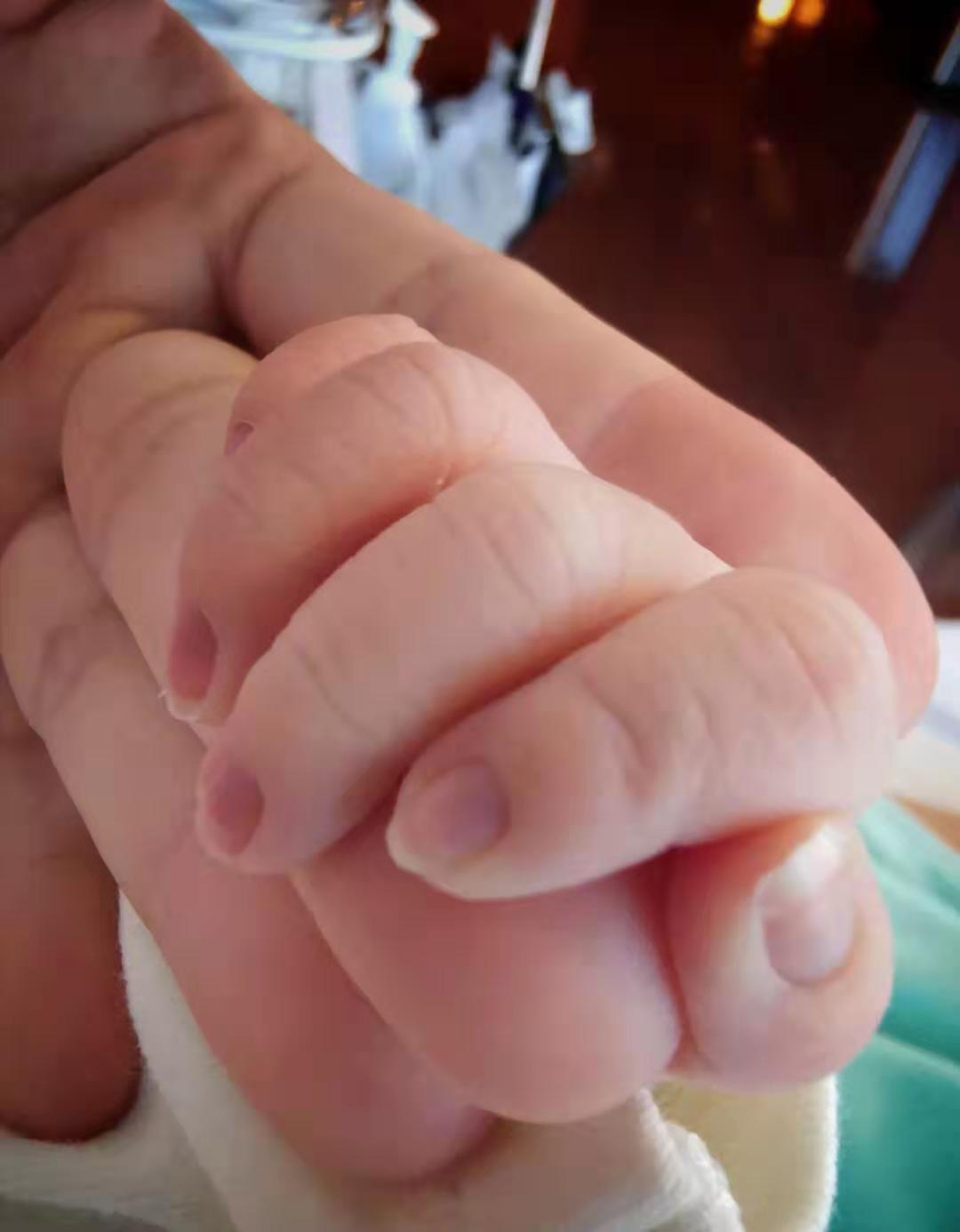 张晋父子西装亲子照,张晋的带娃日常视频