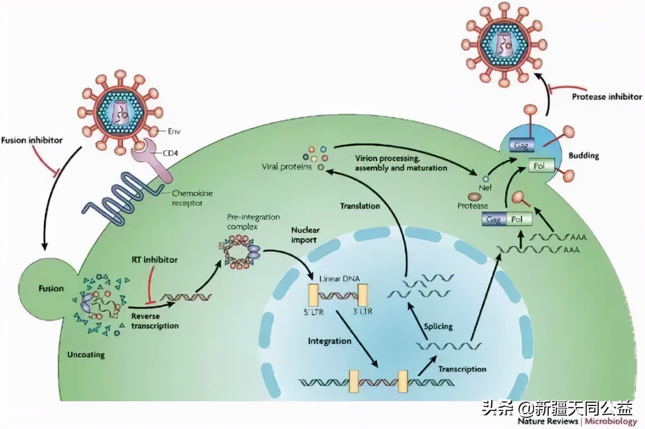 小四值一直不升，是治疗失败吗？