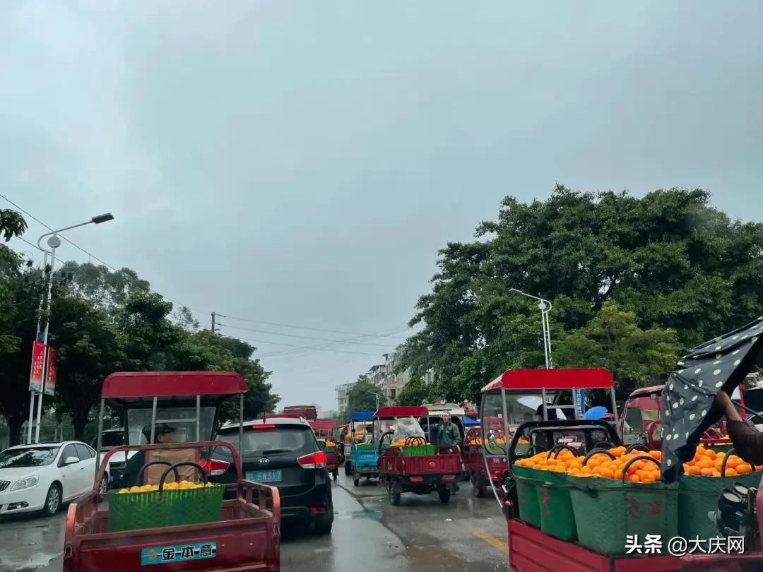 最近市场上常见的这种水果，放两个月都不烂，竟是因为……