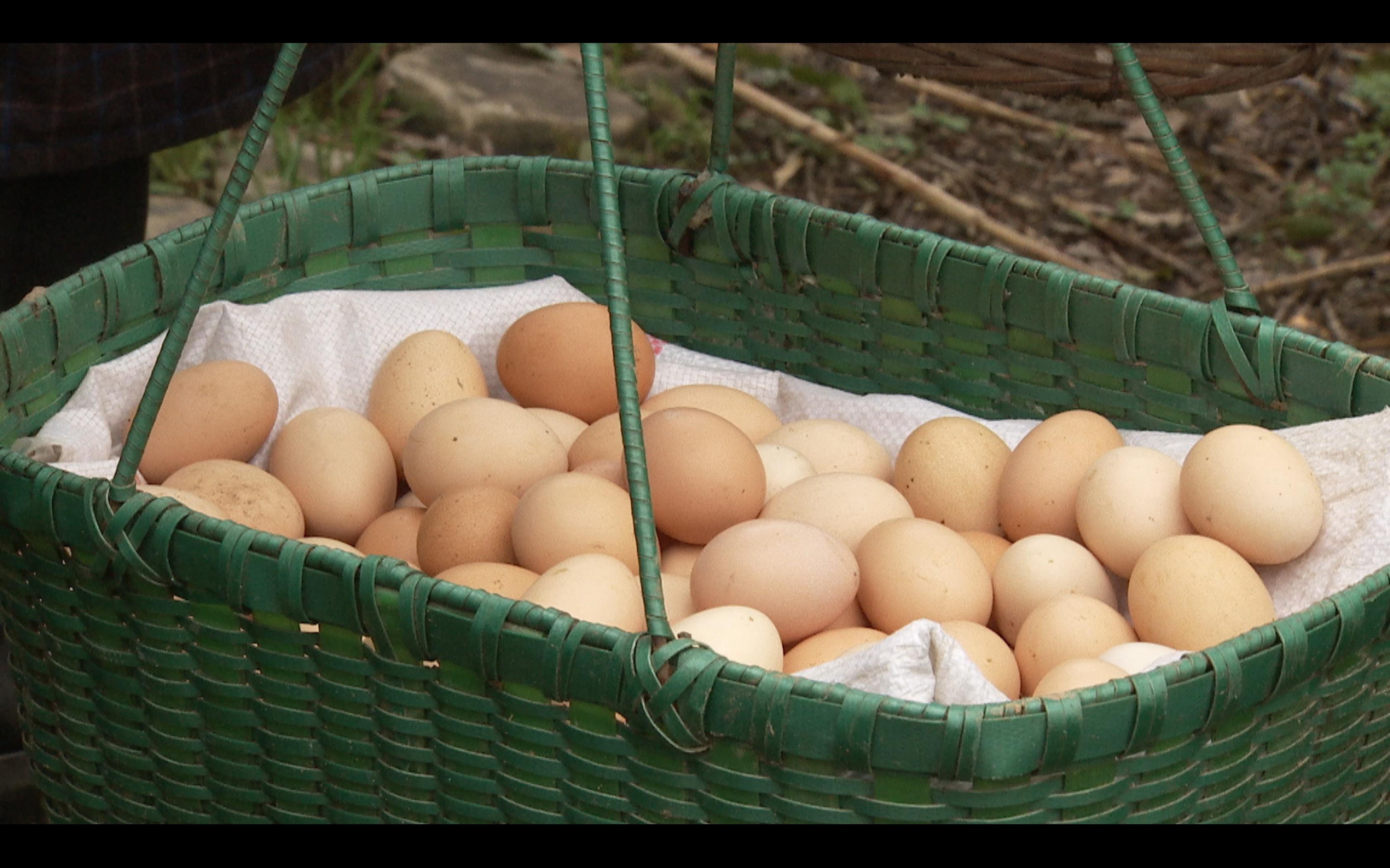 楦¤泲娑ㄤ环鍘熷洜2020,楦¤泲鐤儏娑ㄤ环鍘熷洜