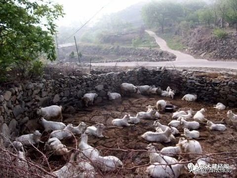 尾骶中正指的是尾闾骨吗,尾闾穴与尾椎是同一个位置