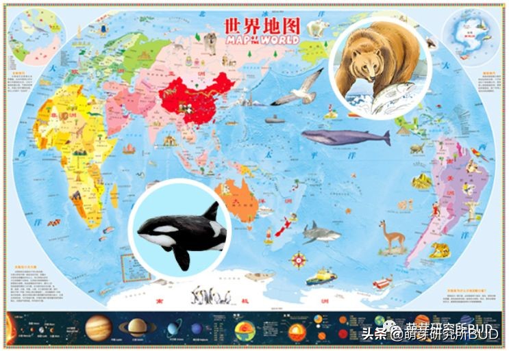 想让孩子成为一个“博学”的娃，这几款好物早晚要入手！