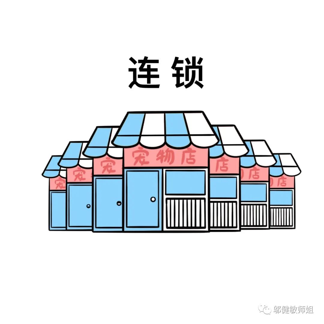 为什么现在开个宠物店那么难,宠物店不会告诉你的行业内幕