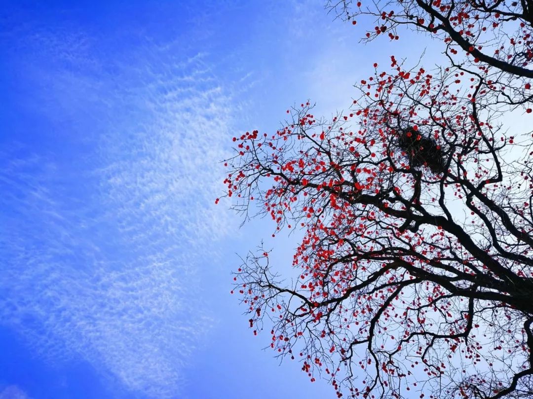 对西安有独特的情怀,热爱西安这座城市