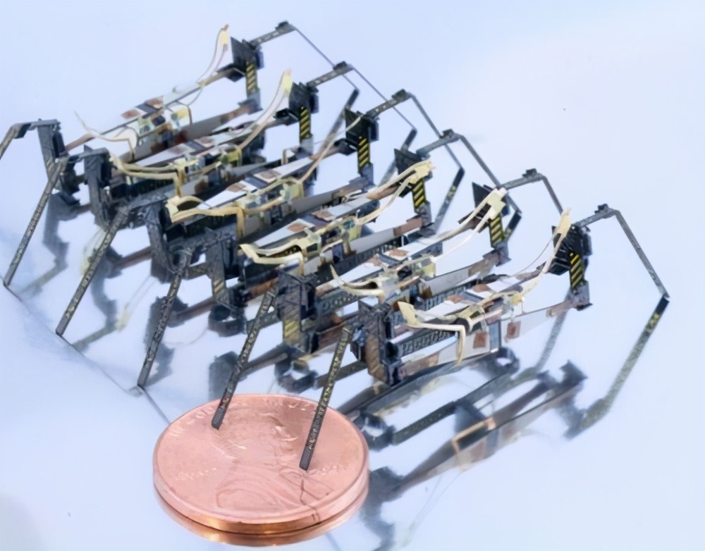 昆虫机器人太空,昆虫类的机器人