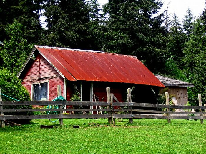 歪果网友分享自己暂时逃避现实的方法,压力大时可以试试了