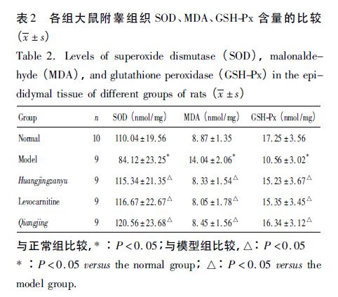 哪些中药方子对男性生育有帮助,补肾壮阳中药会提高睾酮吗