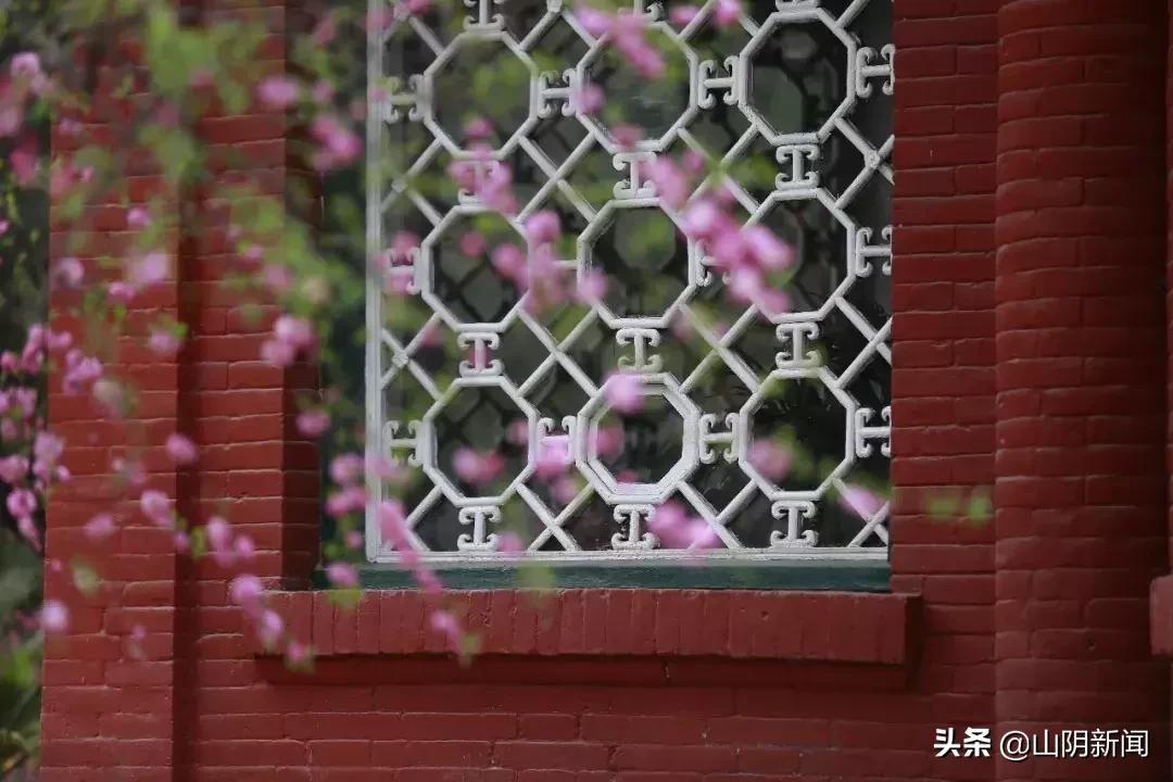 春天里最美的遇见歌曲,春天最美的文案就是油菜花