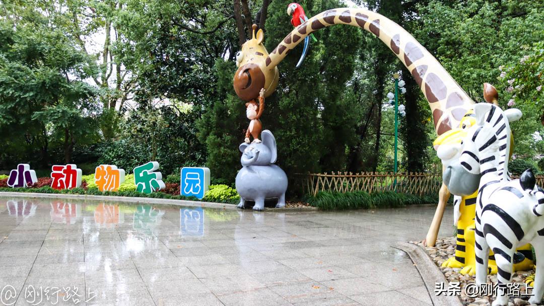 上海野生动物园攻略，一个适合亲子游玩的地方