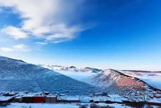 色达下雪了红白交织,色达下雪了图片大全