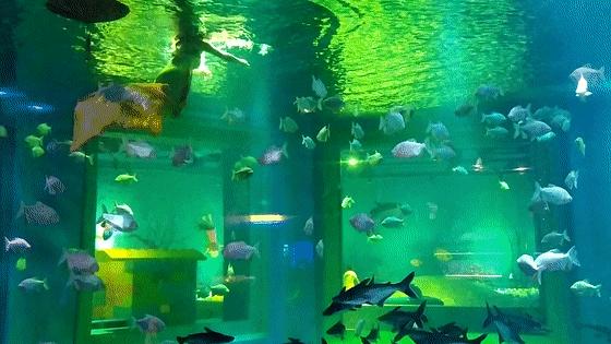 深圳最大的室内游乐场,深圳适合小孩玩的游乐场