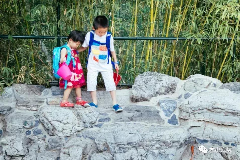 遛娃必备10件带娃小物,沙滩遛娃必备物品有哪些