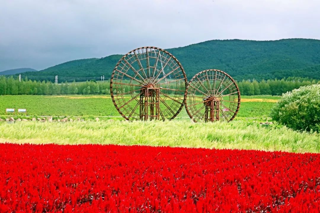 佳木斯是一个什么样的城市,佳木斯几线城市2021排名