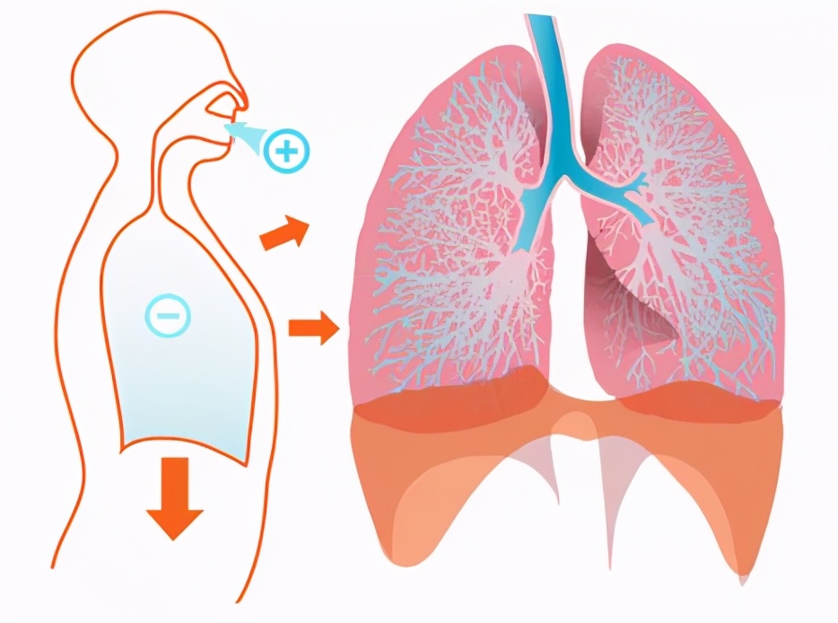 「ERAS科普系列四」围术期气道管理